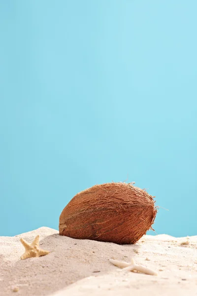 Coconut in sand — Stock Photo, Image
