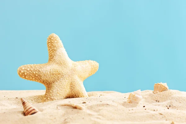 Starfish in sand — Stock Photo, Image