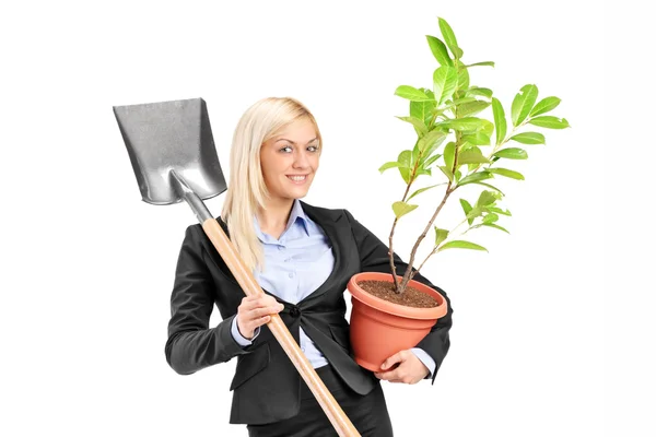 Žena drží lopatu a rostlin — Stock fotografie