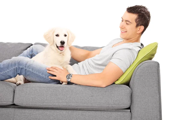 男とソファの上の子犬 — ストック写真
