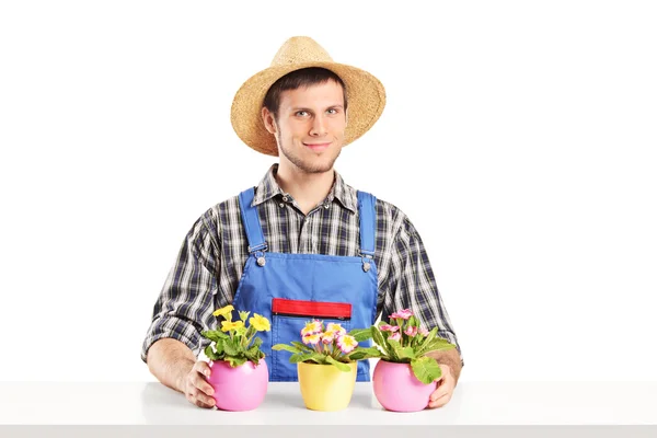 Florista masculino com vasos de flores — Fotografia de Stock