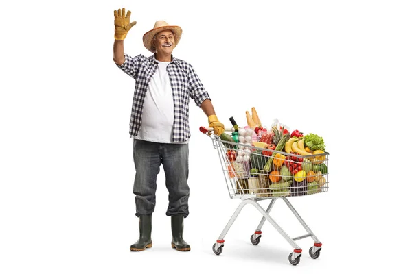 Retrato Comprimento Total Agricultor Com Carrinho Compras Cheio Produtos Alimentares — Fotografia de Stock