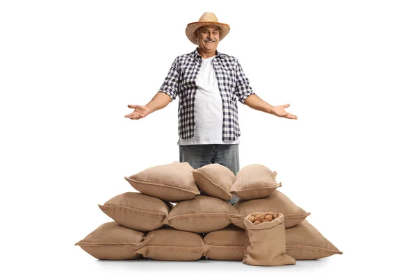 Mature Farmer Showing Pile Burlap Sacks Isolated White Background — Stock Photo, Image