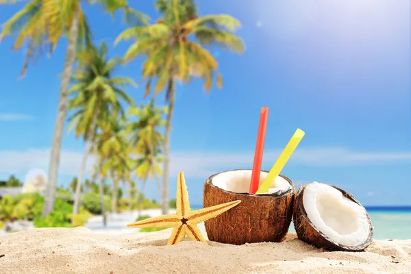 Coquetel de coco na praia tropical — Fotografia de Stock