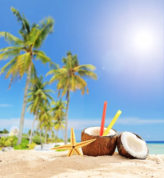 Cóctel en coco en la playa — Foto de Stock