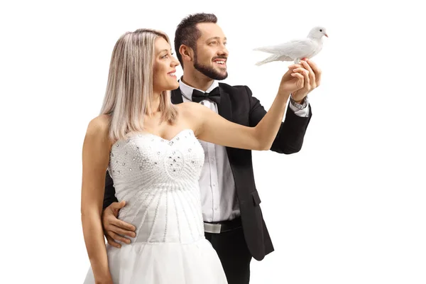 Zdjęcie Profilowe Panny Młodej Pana Młodego Trzymających Białego Gołębia Białym — Zdjęcie stockowe