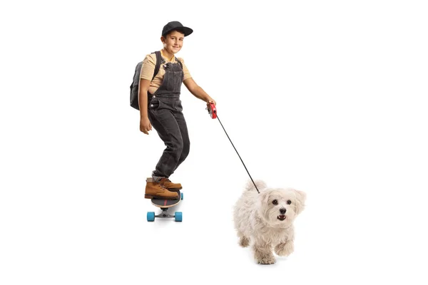 男の子はロングボードに乗って白い背景に隔離された鉛の上に犬を保持 — ストック写真