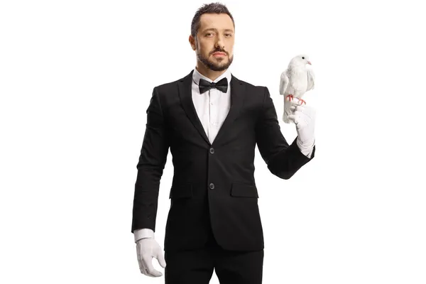 Eleganter Mann Anzug Und Fliege Mit Einer Weißen Taube Auf — Stockfoto