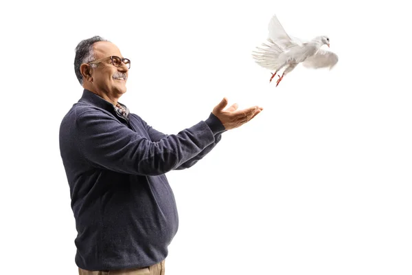 Mature Man Smiling Letting White Dove Fly Isolated White Background — Stock Photo, Image