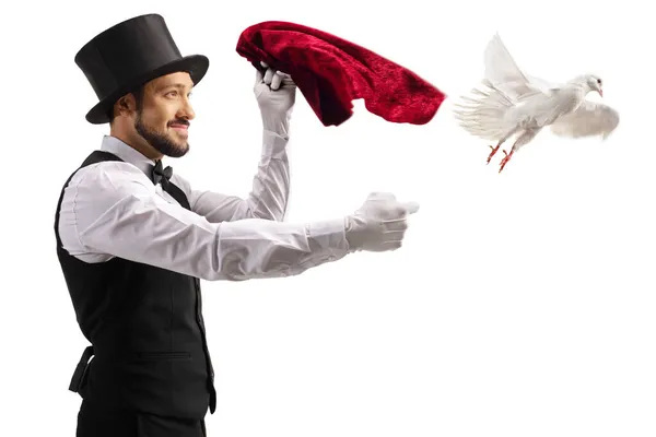 Magician Performing Trick White Dove Flying His Hand Isolated White — Stock Photo, Image