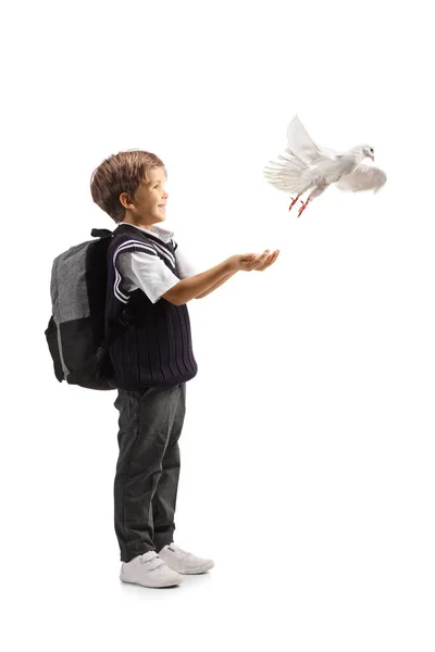 白い背景に隔離された彼の手から白い鳩フライを聞かせ学校の少年の完全な長さのプロフィールショット — ストック写真