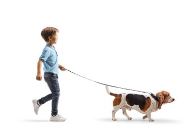 Beyaz arka planda izole edilmiş bir ipucuyla av köpeğini gezdiren bir çocuğun tam boy profil çekimi.