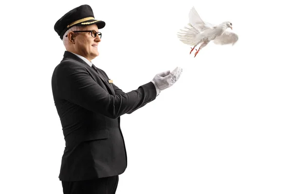 White Dove Flying Fron Hands Mature Man Uniform Hat Isolated — Stock Photo, Image