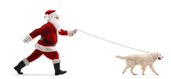 Ganzkörperaufnahme Eines Weihnachtsmannes Der Mit Einem Retriever Hund Der Leine — Stockfoto