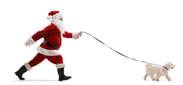 Foto Perfil Completo Santa Claus Caminando Con Perro Caniche Sobre —  Fotos de Stock