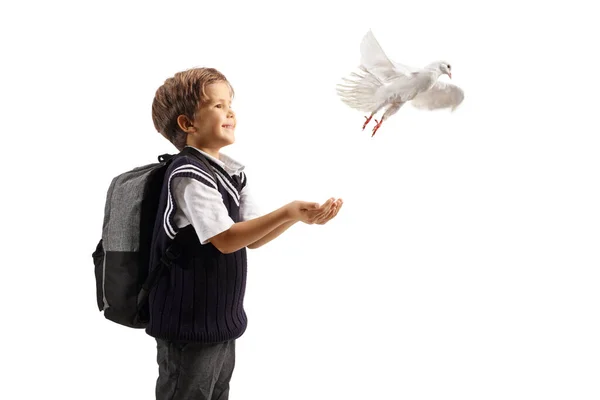 Menino Uniforme Escolar Deixando Uma Pomba Branca Voar Suas Mãos — Fotografia de Stock