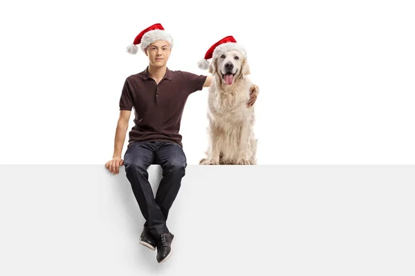 Facet Pies Retriever Noszą Czapki Świętego Mikołaja Siedzą Pustym Panelu — Zdjęcie stockowe