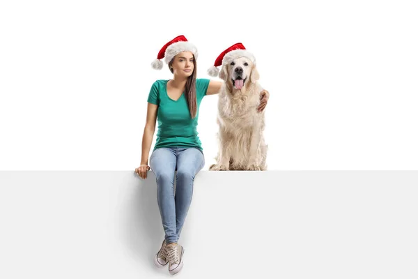 Jovem Fêmea Cachorro Sentado Painel Branco Usando Chapéus Papai Noel — Fotografia de Stock