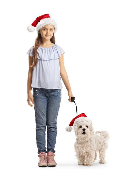 Κορίτσι Και Ένα Σκυλάκι Φορώντας Χριστουγεννιάτικα Καπέλα Του Άγιου Βασίλη — Φωτογραφία Αρχείου