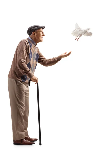 Volledig Profiel Shot Van Een Oudere Man Met Een Witte — Stockfoto