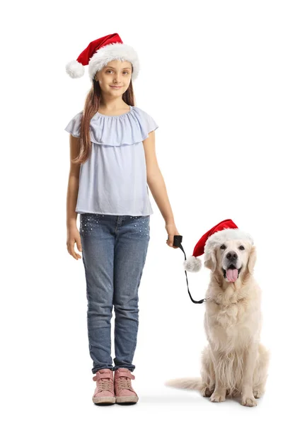 Kind Een Labrador Retriever Hond Dragen Kerstmis Santa Claus Hoeden — Stockfoto