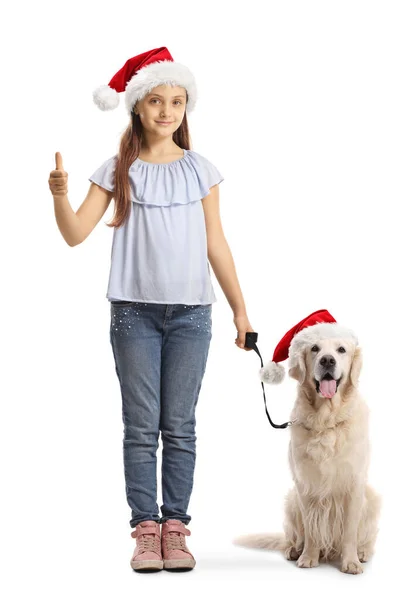 Pige Viser Tommelfingre Med Labrador Retriever Hund Iført Jul Santa - Stock-foto