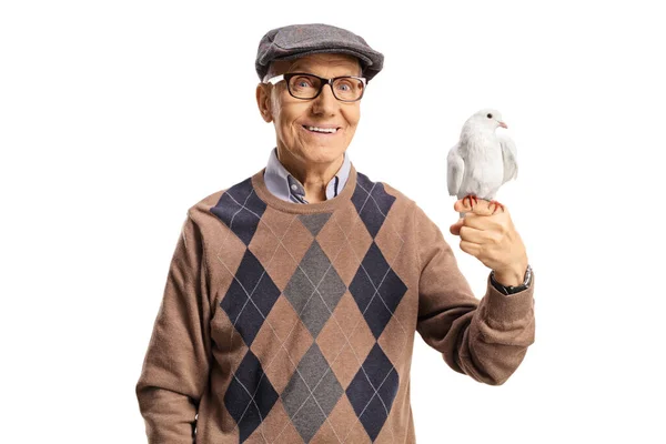 Porträtt Äldre Man Med Vit Duva Handen Isolerad Vit Bakgrund — Stockfoto
