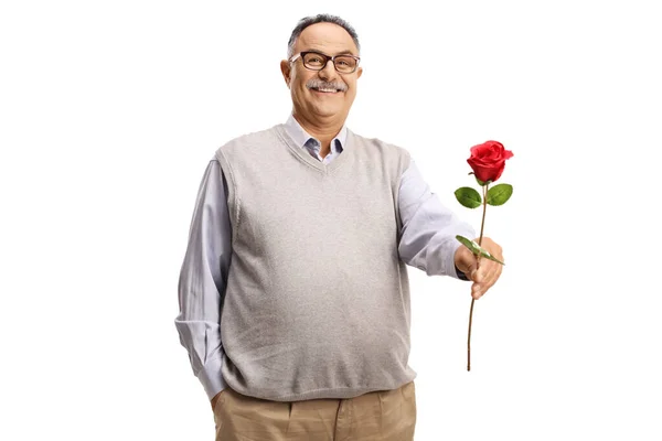 Улыбающийся Взрослый Мужчина Одной Красной Розой Белом Фоне — стоковое фото
