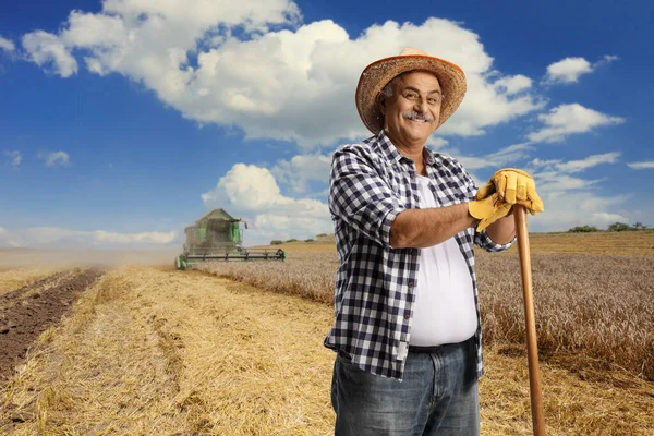 Mature Farmer Straw Hat Leaning Wooden Stick Wheat Field Combine — Stock Photo, Image