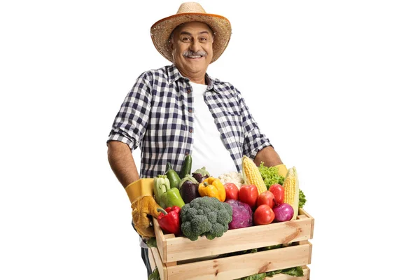 年富力强的农民提着一板条箱新鲜蔬菜 用白色背景隔开 — 图库照片