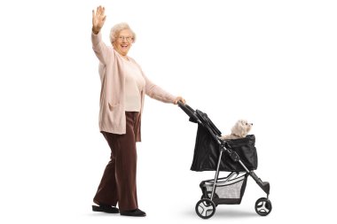 Mutlu, yaşlı bir kadının, bebek arabasını iterken ve beyaz arka planda el sallarken tam boy profil fotoğrafı.