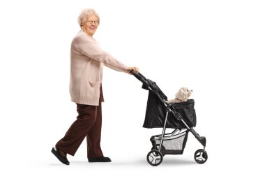 Beyaz arka planda izole edilmiş bir köpek arabasında elinde bir fino köpeğiyle yürüyen yaşlı bir kadının tam boy profil fotoğrafı.