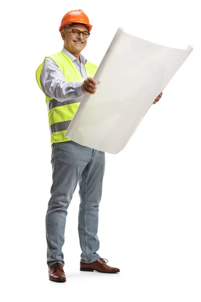 Full Length Portrait Mature Male Engineer Reading Blueprint Isolated White — Stock Photo, Image