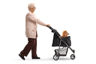 Yaşlı bir kadının beyaz arka planda izole edilmiş bir köpek arabasında gezerken ve kanişi iterken tam boy profil fotoğrafı.