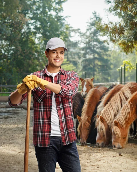 Young Male Farmer Standing Stud Farm Smiling Camera Horses Back — Stock Photo, Image