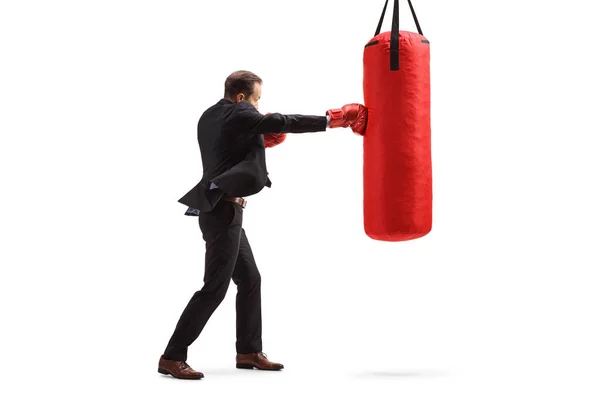 Businessmen Punching Hanging Boxing Bag Isolated White Background — стоковое фото
