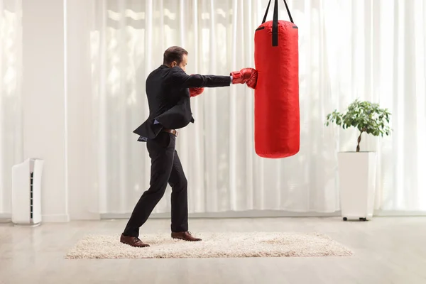 Businessmen Punching Hanging Boxing Bag Living Room — Foto de Stock