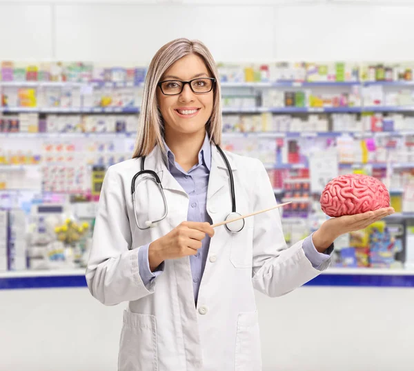 Young Female Pharmacist Holding Brain Model Chemist Store — Stock fotografie