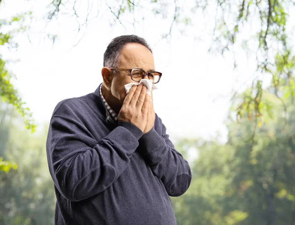 公園でティッシュペーパーで鼻を吹いて成熟した男のサイドショット — ストック写真