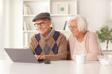 Evde dizüstü bilgisayar kullanan mutlu yaşlı bir adam ve kadın.