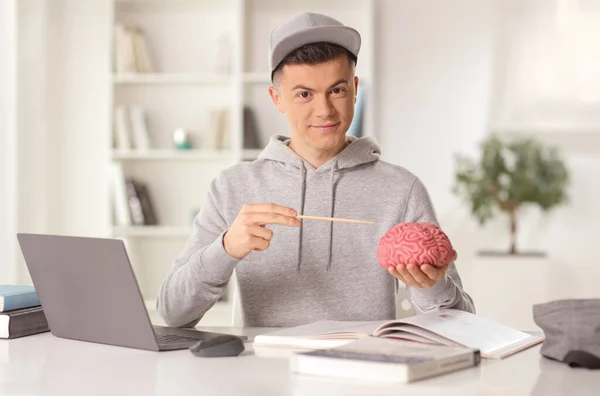 Mężczyzna Medyczny Student Siedzi Laptop Komputer Trzymając Model Mózgu Domu — Zdjęcie stockowe
