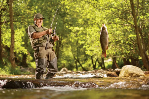 Mature Fisherman Pulling Carp Fish Out River Wood — Stockfoto