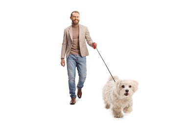 Takım elbiseli ve kot pantolonlu genç adam beyaz arka planda izole edilmiş kameraya doğru bir ipucunun üzerinde Malta 'lı bir kaniş köpeğini gezdiriyor.