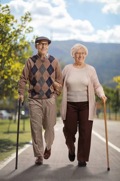 Happy elderly man and woman walking with canes on an asphalt footpath