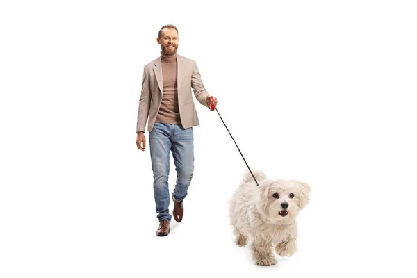 Ung Man Kostym Och Jeans Går Maltesisk Pudel Hund Ledning — Stockfoto