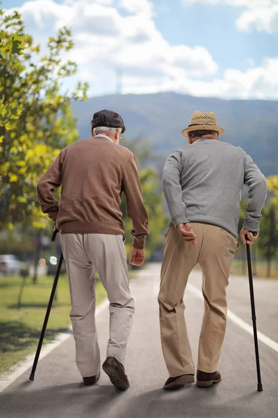 Vista Trasera Dos Ancianos Caminando Con Bastones Carril Peatonal — Foto de Stock
