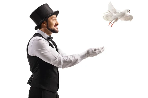 Magician Letting White Dove Fly His Hand Isolated White Background — Stock Photo, Image