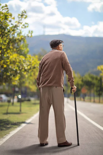 Rear View Shot Elderly Man Standing Cane Asphalt Pedestrian Track — Stock Photo, Image