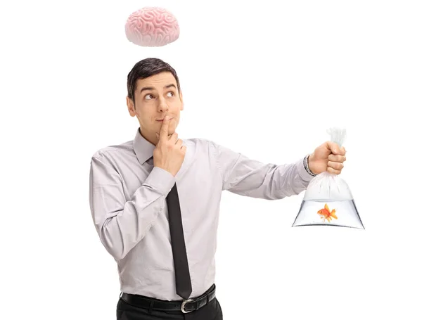 Young Clever Man Brain His Head Holding Goldfish Plastic Bag — Stock Photo, Image