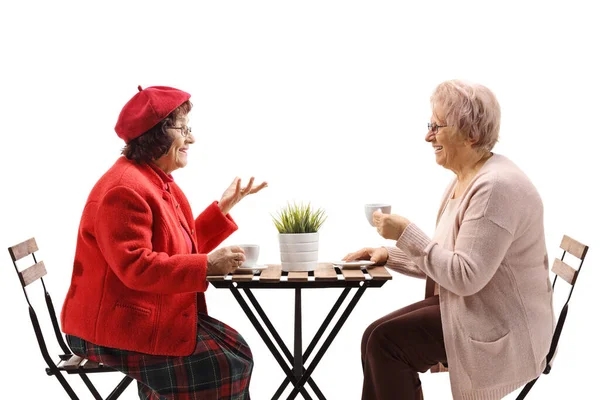 Профиль Две Пожилые Женщины Пьют Кофе Разговаривают Изолированно Фоне Вахита — стоковое фото